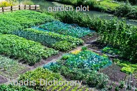 garden plot